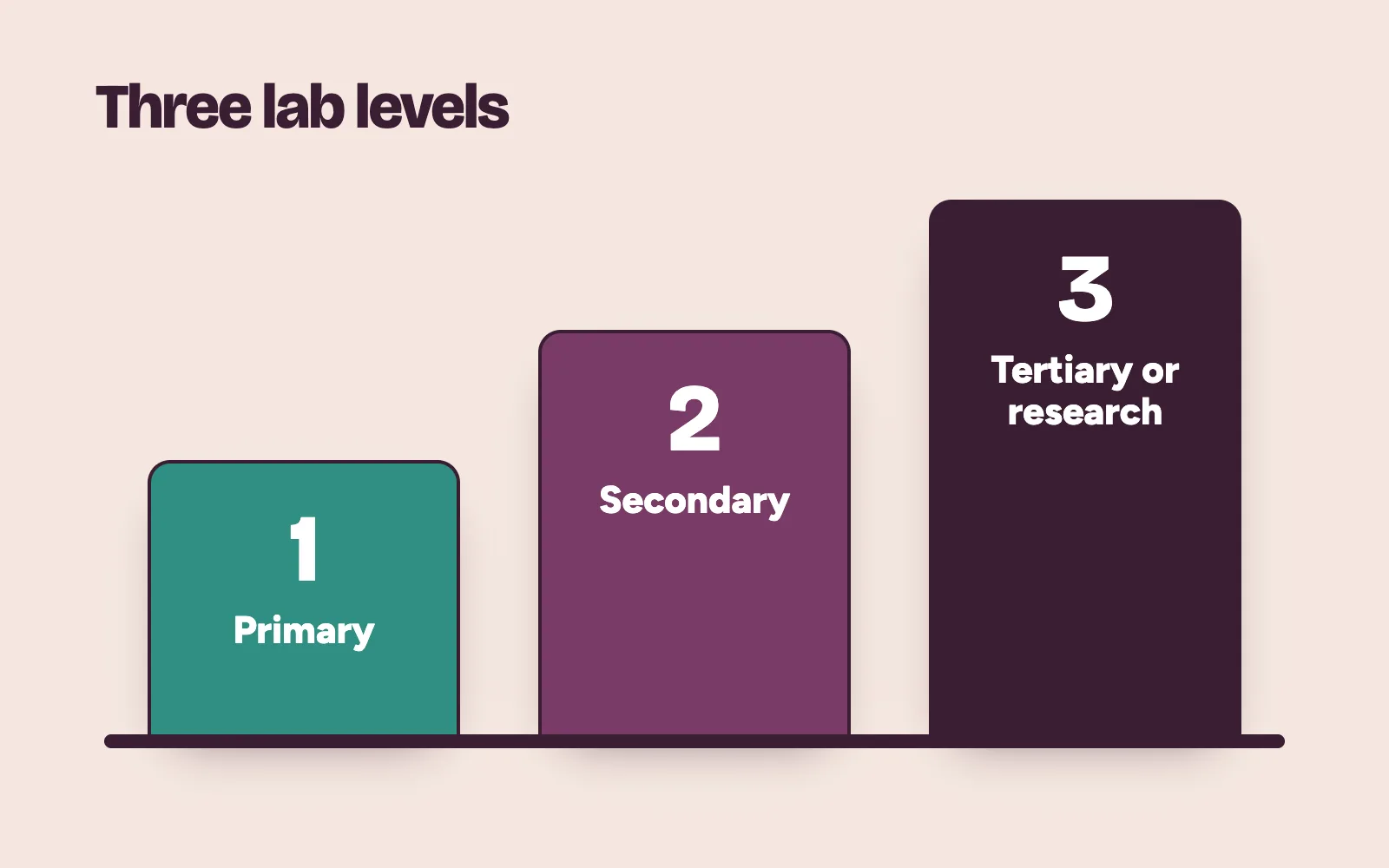 Three MLSCN laboratory levels shown as stacked blocks: primary, secondary and tertiary or research